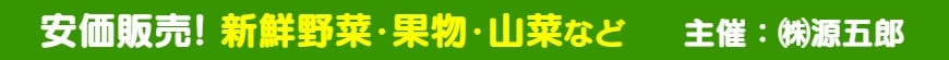 新鮮野菜･フルーツ･山菜など：黒字化経営提案　主催：㈱源五郎